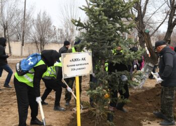 Алматы облысында жалпыхалықтық сенбілік өтті