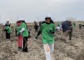 Алматы облысында 2000 түп ағаш егілді