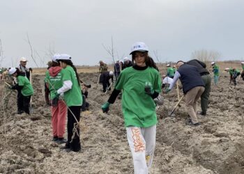 Алматы облысында 2000 түп ағаш егілді