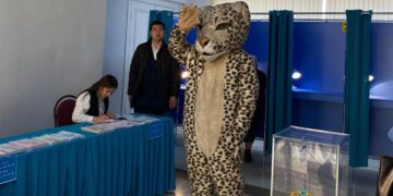 Сайлауға “барыс” келді