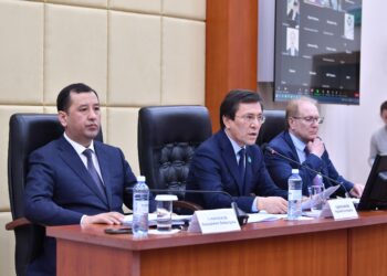 Мәжілісте ауыл әкімдерінің өкілетін кеңейтуді ұсынды