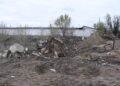 Қонаев қаласында абаттандыру ережелерін бұзғандар ескерту алды