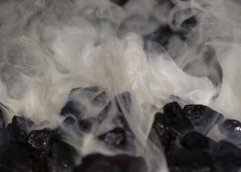 Алматы облысында 5 адам мерт болған қайғылы оқиғаның алдын ала себебі аталды