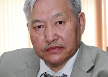 “Блогерлер туралы жеке заң қажет”