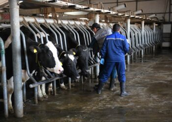 Аграрлық сала озық технологиямен ғана алға басады