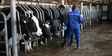 Аграрлық сала озық технологиямен ғана алға басады