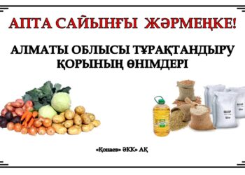 Қонаевта әр сенбіде азық-түлік тауарлары жәрмеңкесі өтеді