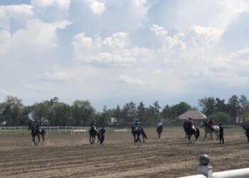 Қазақстандағы алғашқы ұшқыр бәйге жарысы Алматы облысында өтті