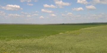 Заңсыз берілген 3500 гектар жайылымдық жер қайтарылды