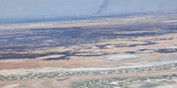 Алматы облысында 6 мың гектардан астам аумақ өртенді