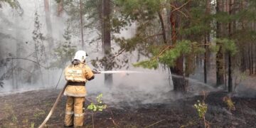 Абай облысындағы орман өртінен қаза тапқандар 14 адамға жетті