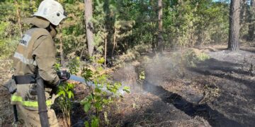 Абай облысындағы өрт оқшауланды