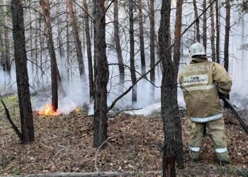 Абай облысындағы өрт әлі сөндіріліп жатыр