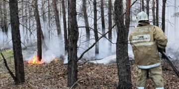 Абай облысындағы өрт әлі сөндіріліп жатыр