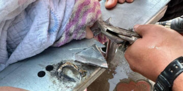 Алматы облысында қолы қысылып қалған қыз құтқарылды