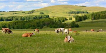 Алматы облысында 285,5 мың гектар жердің бос жатқаны анықталды