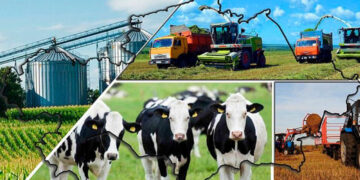 “Ауыл аманаты” жобасы бойынша 3,8 млрд теңгеге 418 өтініш мақұлданды