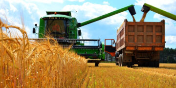 Облыста 156 мың тонна астық бастырылды