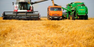 Елімізде астық жинау науқаны басталды