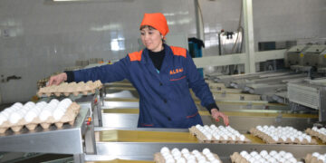 Өнімі экспортқа шығатын кәсіпорын