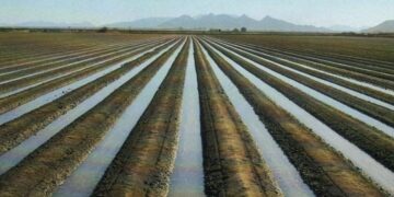 Сенатор егістік суын тиімді пайдалану жолдарын ұсынды