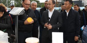 Күз – береке, күз – мереке