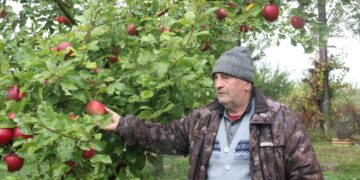 Баптасаң, бақ та жайқалар