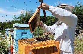 Омарташылық оңай кәсіп емес