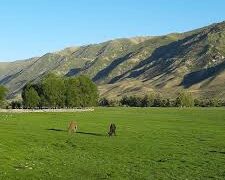 БҰҰДТҰ: Саты ауылы – әлемдегі ең үздік туристік ауылдардың бірі