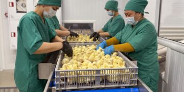 Өндіріс ошақтарында жаңа жұмыс орындары көбейді