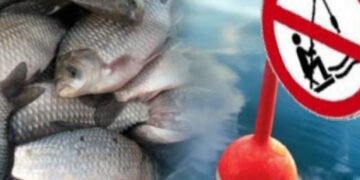 Балық аулағанда қауіпсіздік ережелерін сақтау керек – ТЖД