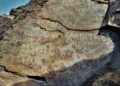 AMANAT: Петроглифтер жойылып кетудің аз-ақ алдында тұр