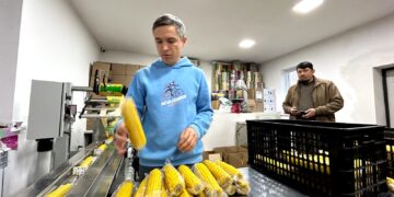 Еңбекшіқазақ ауданында 14 жоба грант алды