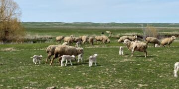 Сақманға студенттер келді