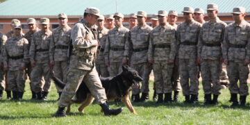 Бес нүкте – бес шеберлік сабағы