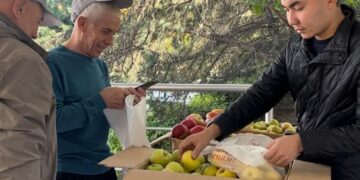 Талғарда референдумға қатысқандарға апорт алмасы арзанға сатылды