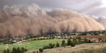 Апат айтып келмейді