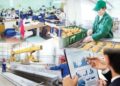 Жыл басынан бері 143,2 мың адам жұмысқа орналасты