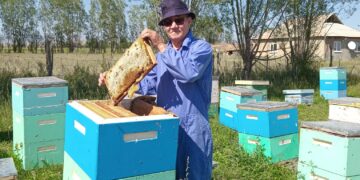 Омарта ісін дамытқан