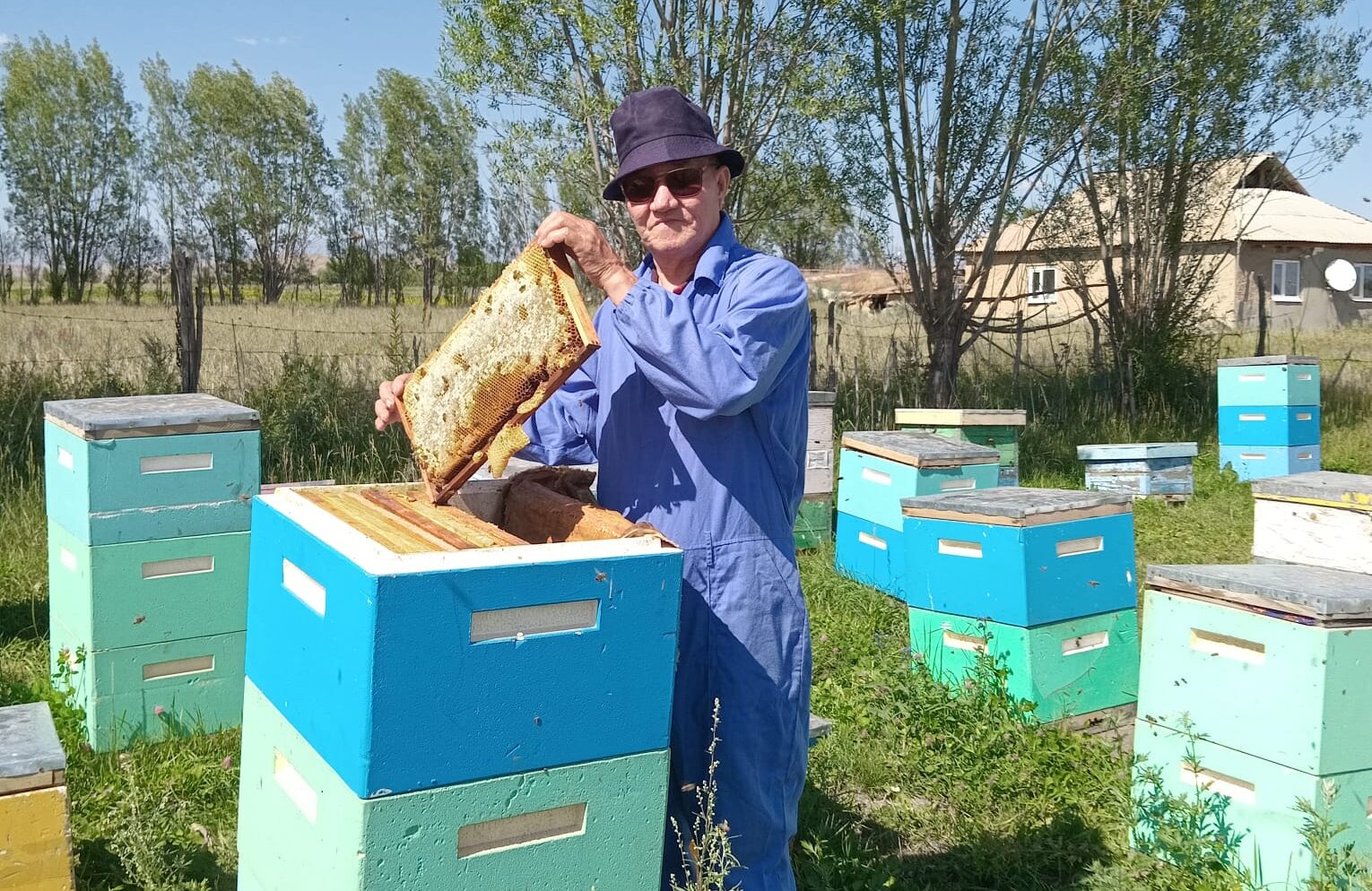 Омарта ісін дамытқан