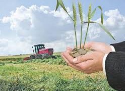 Алматы облысында шаруа қожалығы 1,5 млн теңге субсидиясын қайтарып алды