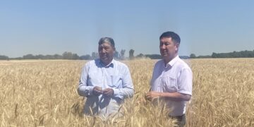 Ғылымға негізделген өндіріс