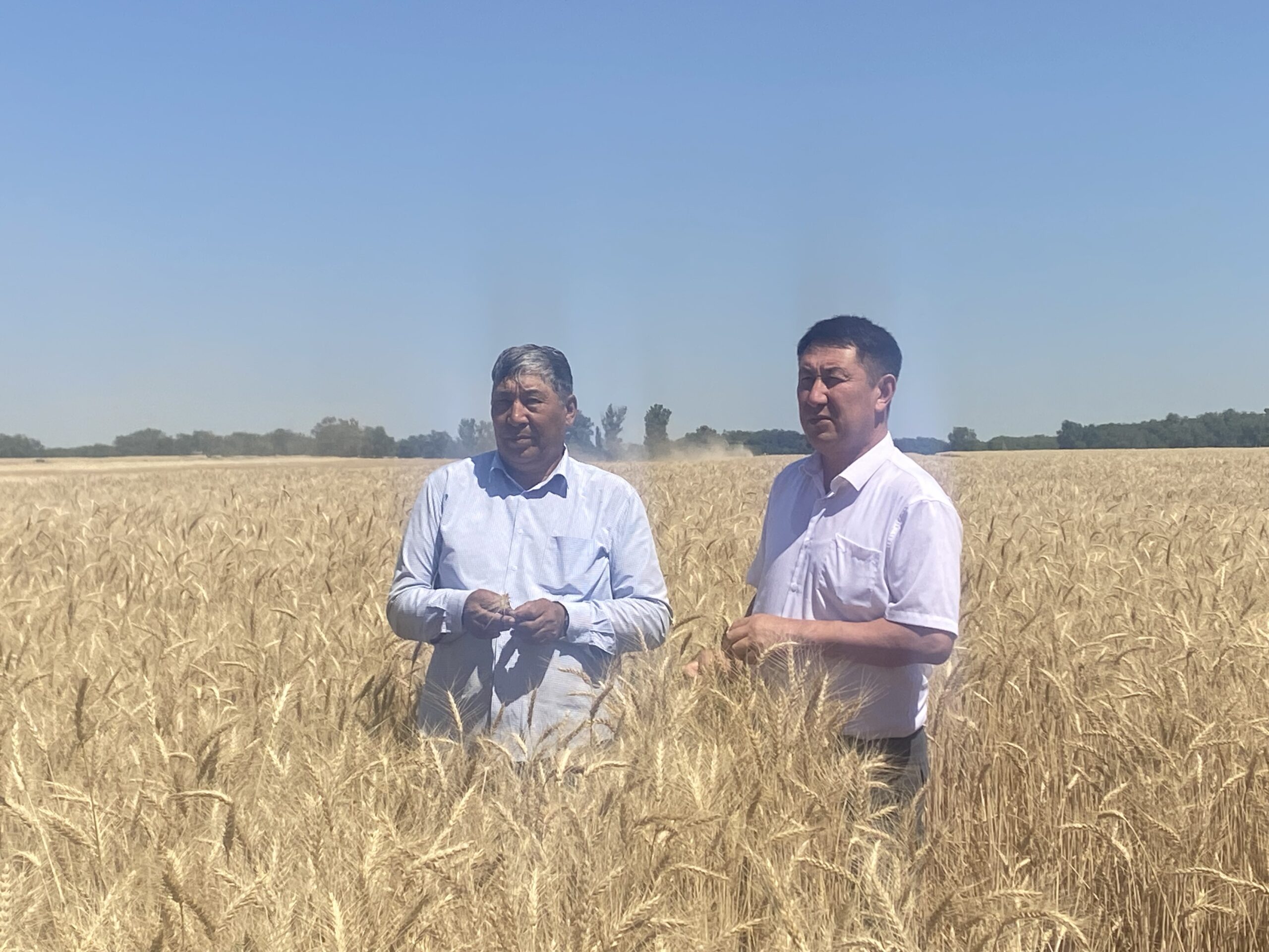 Ғылымға негізделген өндіріс