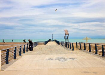 Жағажайды күтіп ұстау: кәсіпкердің міндеті қандай?