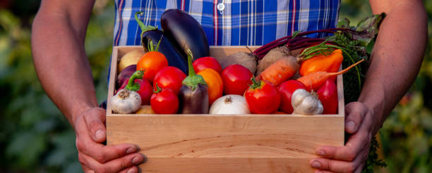 Алматинская область укрепляет позиции в аграрном секторе