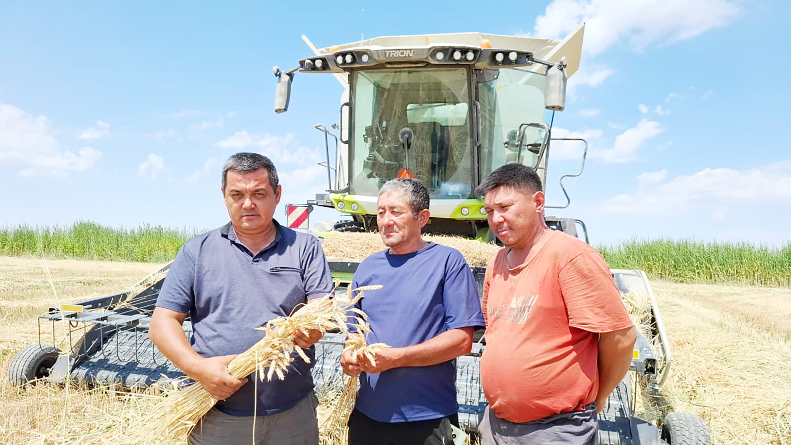 Дала төсінде қызу еңбек