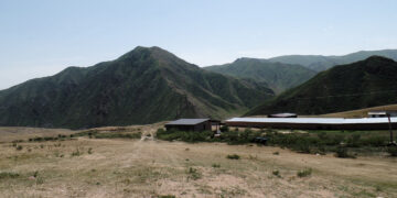 Сарыжазық сарғайып тұр