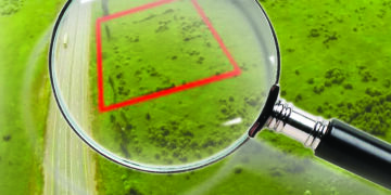 Жер дауына жол берілмейді