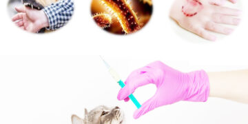 «Құтырма ауруынан сақтанайық!»