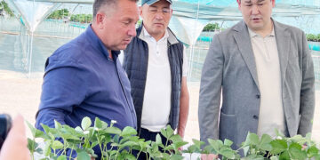 Агрокәсіпорынға қолдау зор